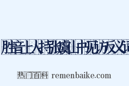 胜音上人持张虞山书见访反义词是什么意思的图片